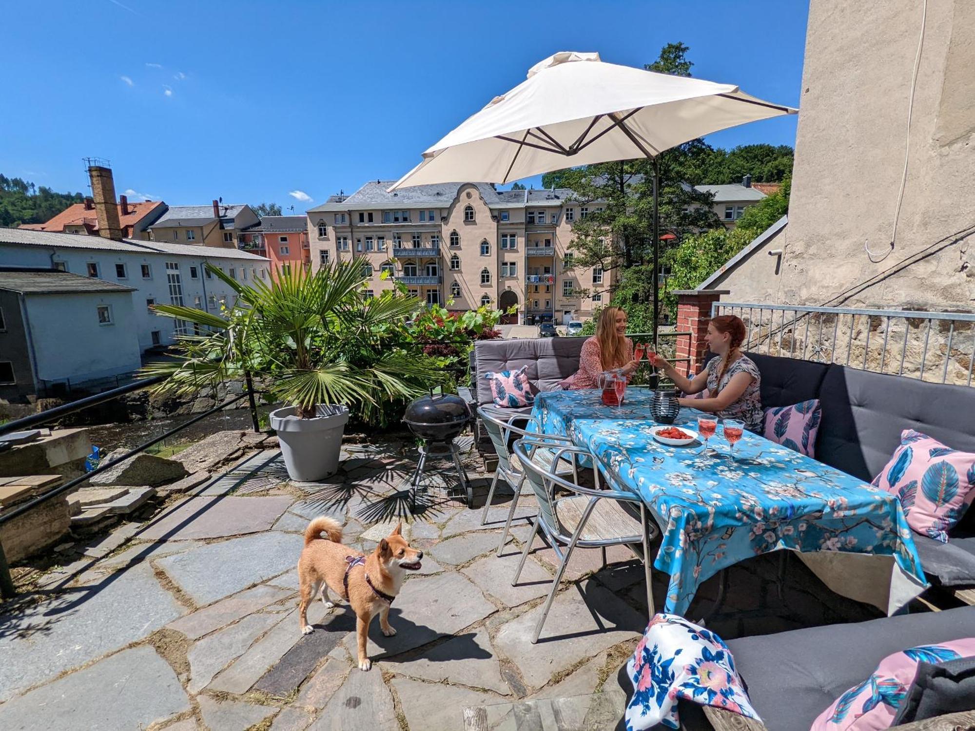 Hw3 - Urlaubsmagie - Helle, Grosse Wohnung Mit Pool Sebnitz Ngoại thất bức ảnh