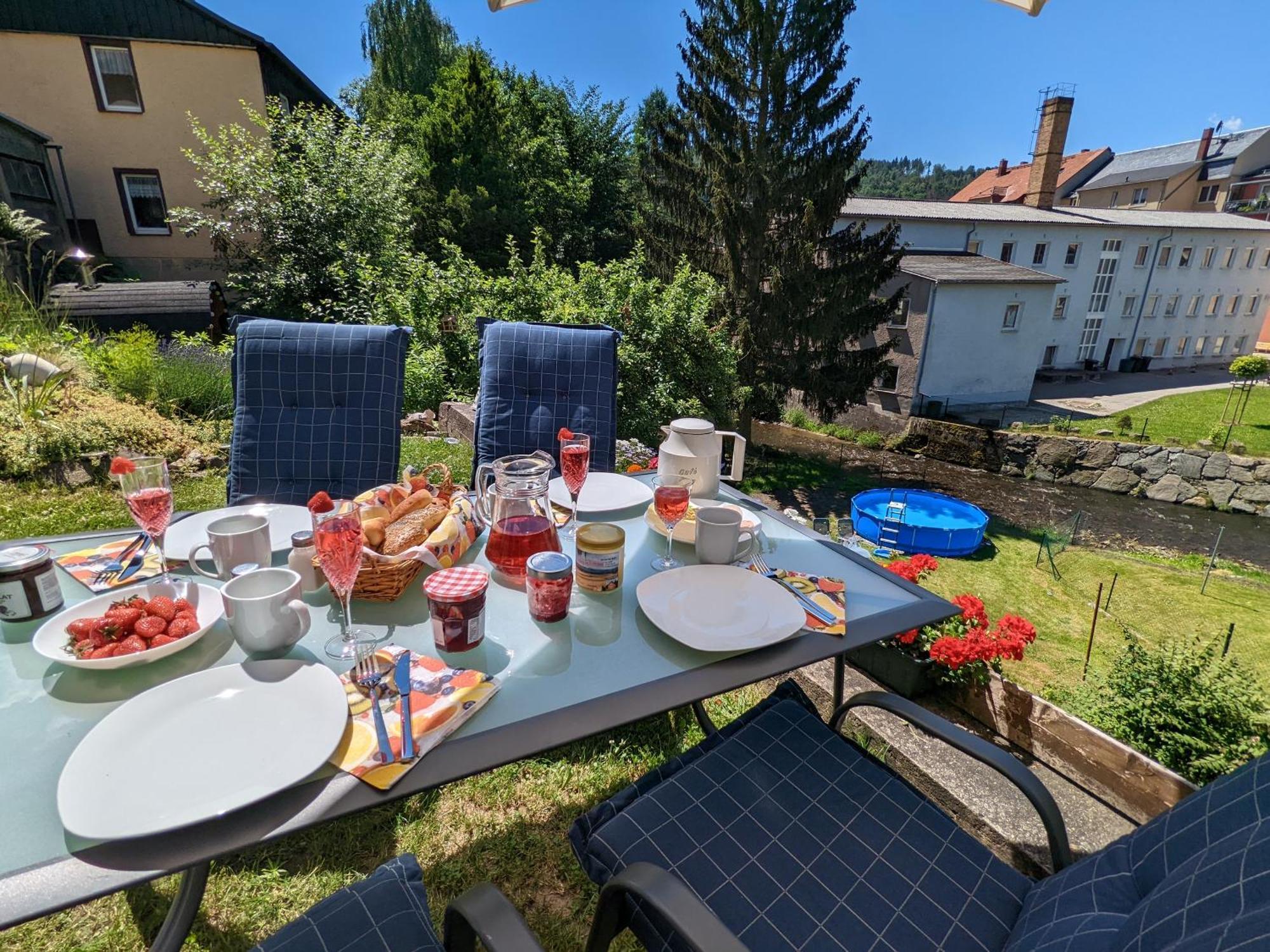 Hw3 - Urlaubsmagie - Helle, Grosse Wohnung Mit Pool Sebnitz Ngoại thất bức ảnh