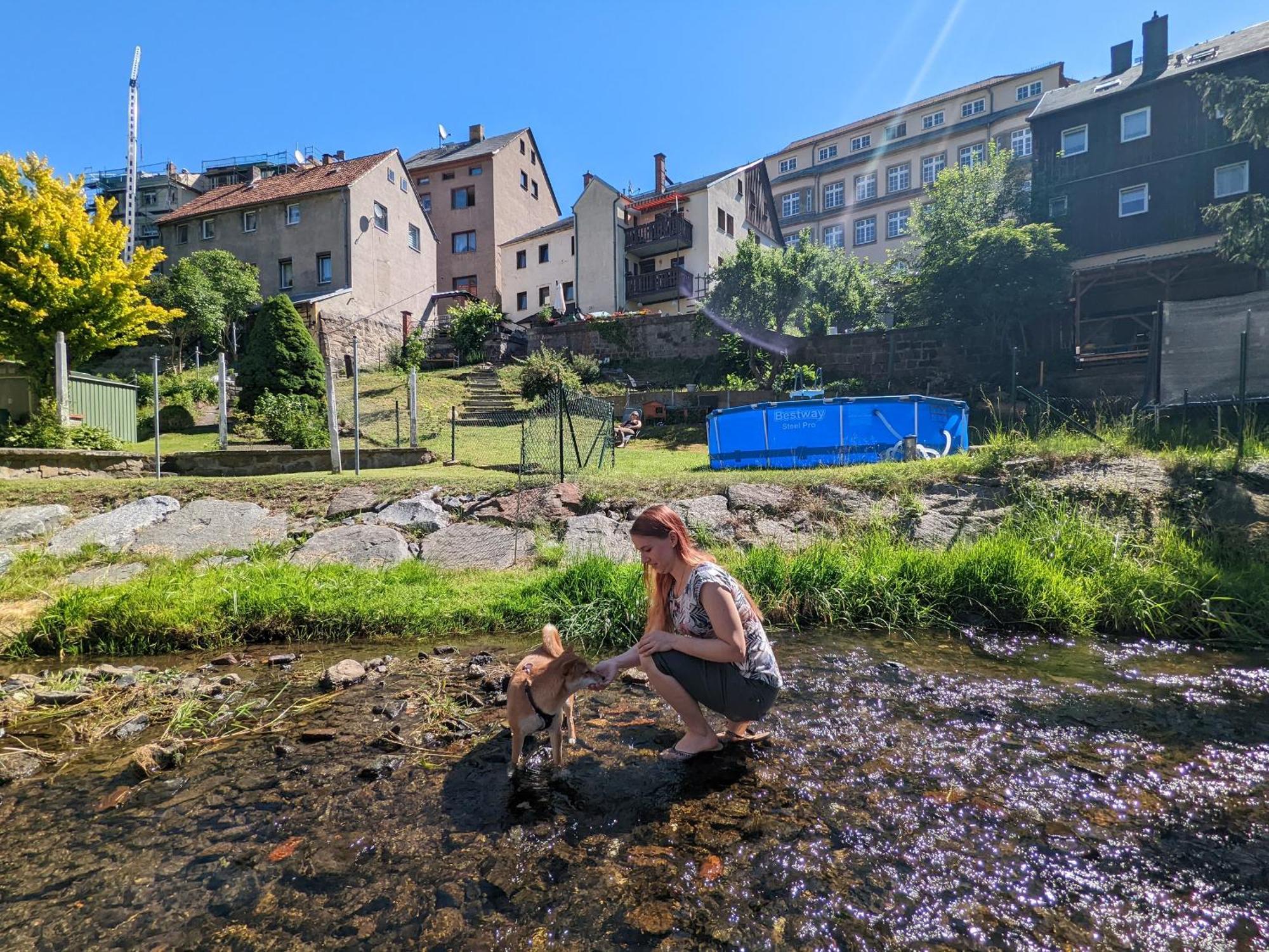 Hw3 - Urlaubsmagie - Helle, Grosse Wohnung Mit Pool Sebnitz Ngoại thất bức ảnh