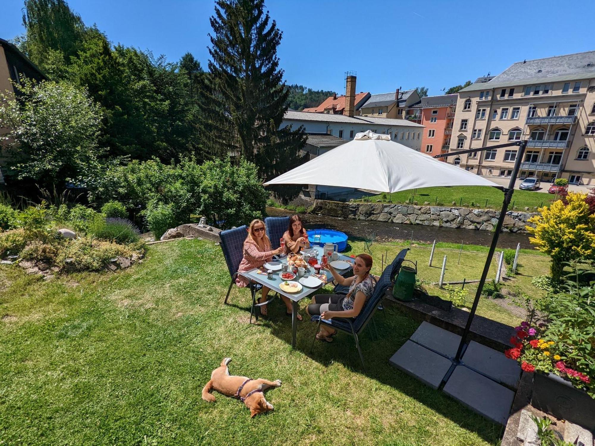 Hw3 - Urlaubsmagie - Helle, Grosse Wohnung Mit Pool Sebnitz Ngoại thất bức ảnh