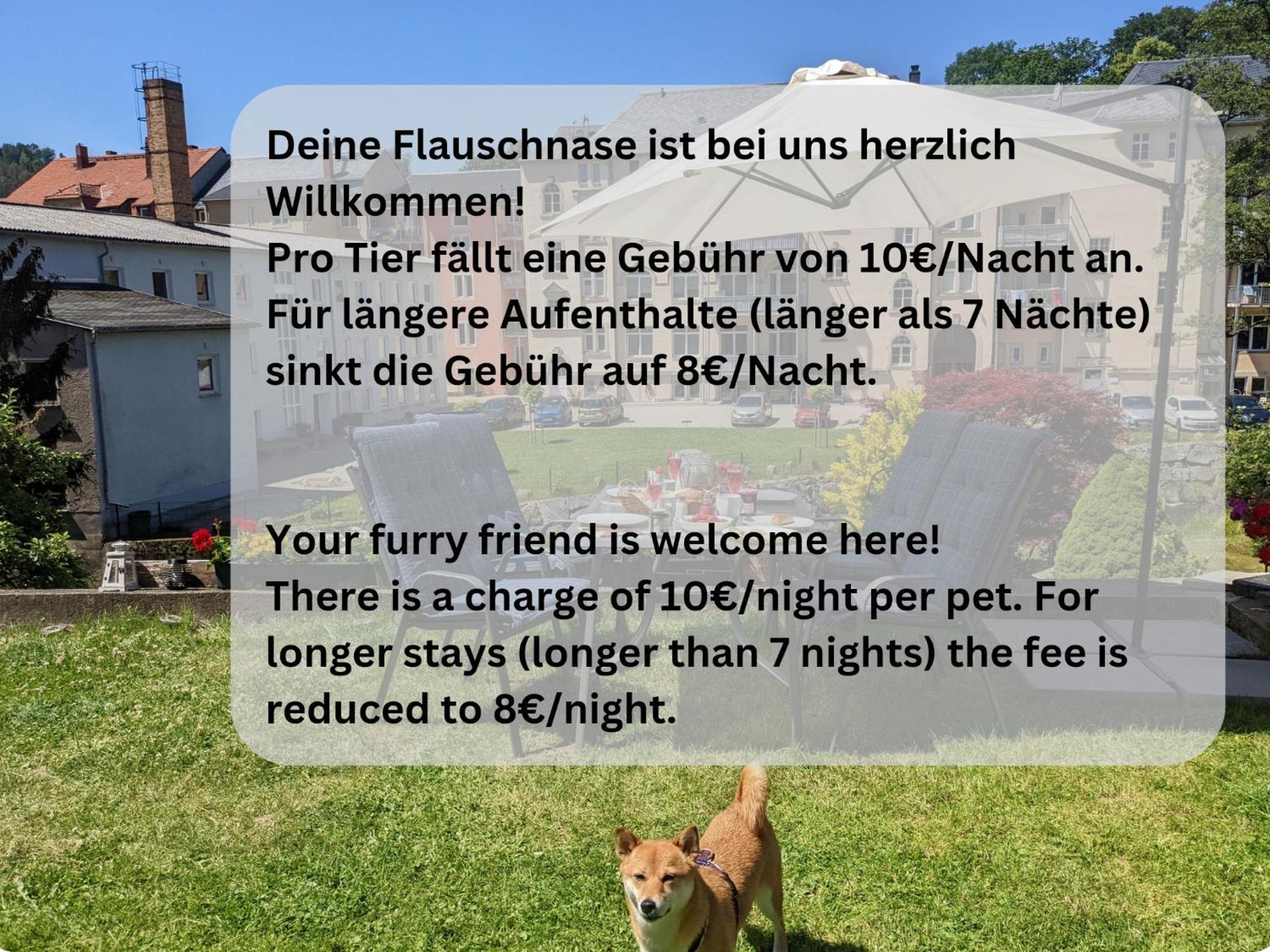 Hw3 - Urlaubsmagie - Helle, Grosse Wohnung Mit Pool Sebnitz Ngoại thất bức ảnh
