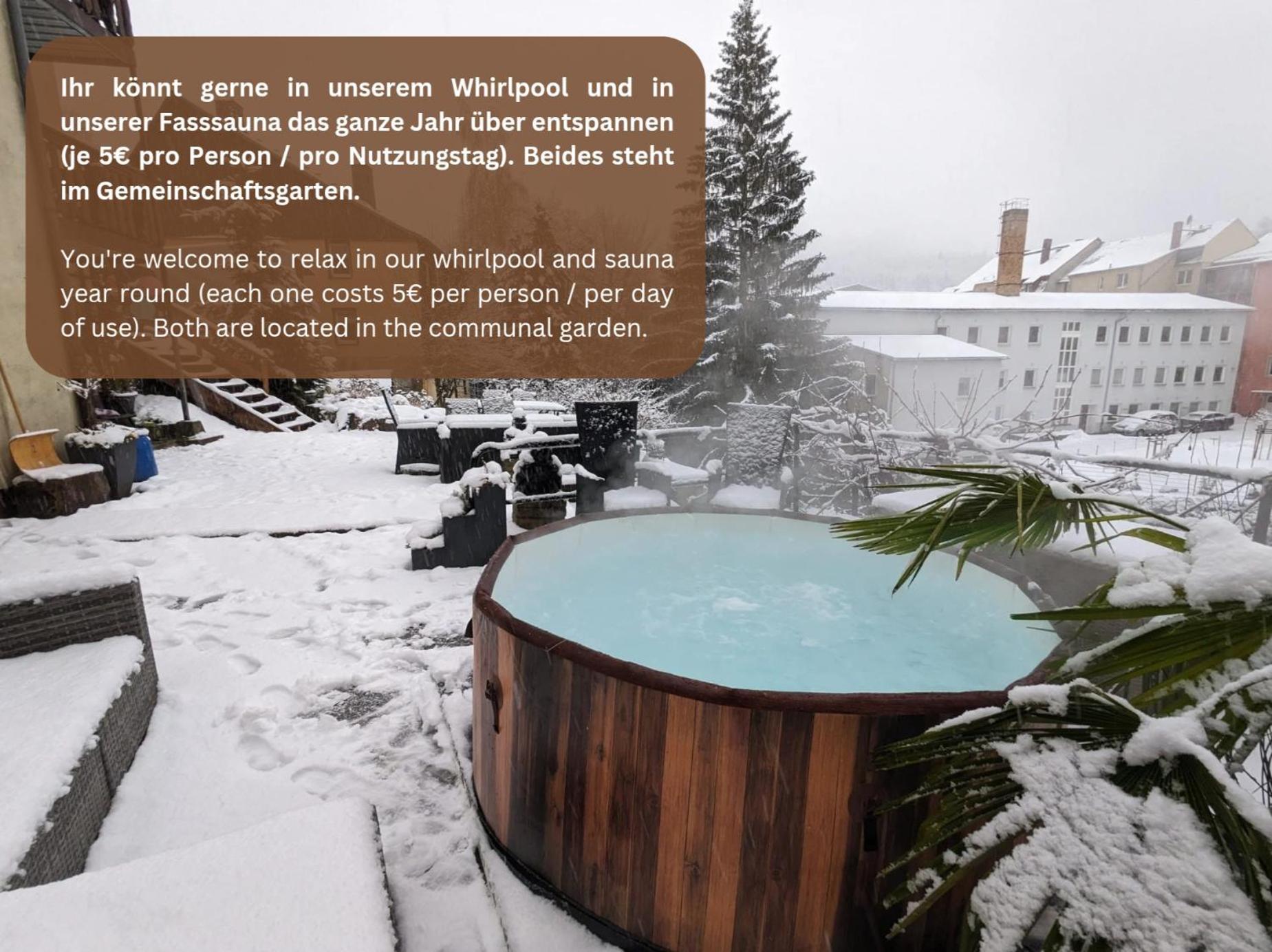 Hw3 - Urlaubsmagie - Helle, Grosse Wohnung Mit Pool Sebnitz Ngoại thất bức ảnh